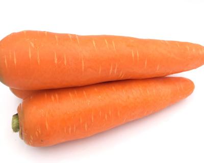 China High Vitamin Fresh Carrot Trademark Brand Carrot / China Well-known Market for sale