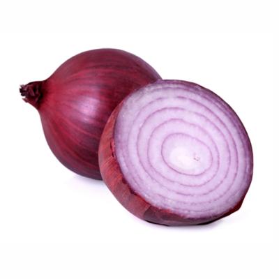 China Fresh Direct Supplier for Fresh Red Onion Purple Onion from China Origin at Bulk Price for sale