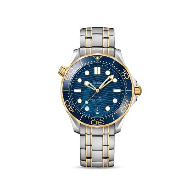 China Mens Date Automatic Custom Mechanical Watch Luxury Watch For OH MY GOD Diver-300-M Series Automatic Sports for sale