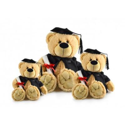 중국 osos de peluche Soft PP plush animal souvenirs stuffed gifts graduation teddy bear for students 2020 판매용