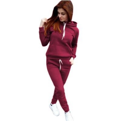 China Sustainable Fashion Women Shear Pants Suits Jogging Hood Two Piece Sweatsuit Sets Wholesale Tracksuit for sale