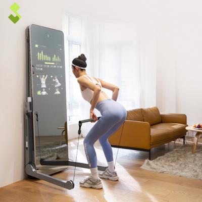 China High Quality Smart Home Use SPlan Trainer Resistance Strength Mirror Home Gym New for sale