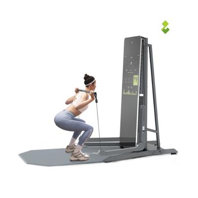 China Hot Selling Wholesale Home Gym Equipment SPlan Home Use Gym Strength Training Equipment for sale