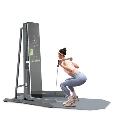 China Metal+plywood SPlan Good Quality Gym Equipment Home Exercise Fitness Equipment Home Floor Stand Smart Fitness Device for sale