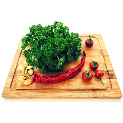 China Large sustainable bamboo cutting board with handle chopper for sale