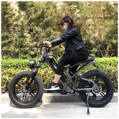 China 48V 500W 750W 1000W Aluminum Alloy Electric Hybrid Bike 20 Inch New Hot Sale Fatbike Electric Bicycle for sale