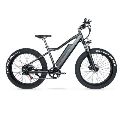 China Wholesale China aluminum alloy suspension mtb 500w fat tire mountain fat tire mountain double 48v electric bike for sale