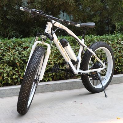 China SALE Ebike 750w 48v Mountain Tires e Bike Aluminum Alloy Fat Bike Aluminum Alloy Fat Bike Beach Electric Cruiser Bicycle for sale