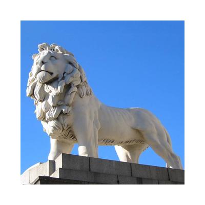 China lion/modern marble lion sculptures/stone lion statue NTBM-L004 for sale