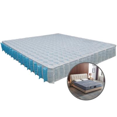 China Customized Hypoallergenic All Size Mattress Pocket Spring Interval 7 Zone Pocket Coil Unit for sale