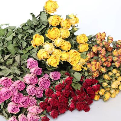 China Photography Plant Dry Rose Flower Spot Wholesale Multi for Photography Dry Props Rose Bouquet Wholesale for sale