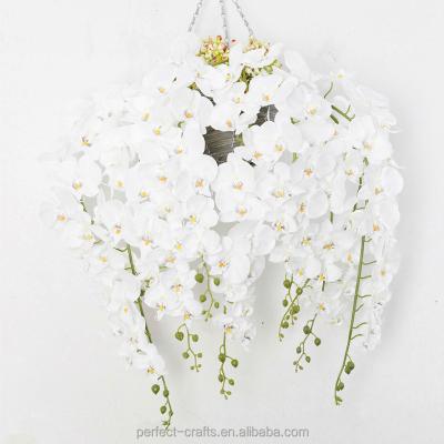 China Real Touch Natural Artificial Orchids Flowers Long Single Stem for sale