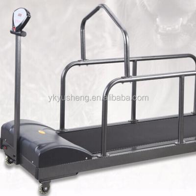 China Viable Dog Treadmill ELECTRIC TREADMILL for sale