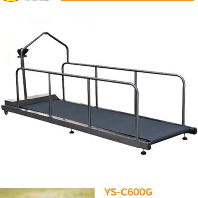 China Large Sustainable Animal Pets Dog Treadmill CE Walking Machine for sale