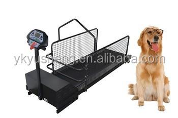 China Sustainable High Speed ​​Dog Treadmill 0.8-12km/h for sale