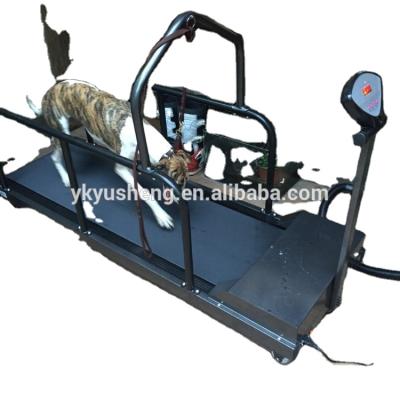 China Sustainable Sled Dogs Treadmill CE Import Fitness Equipment for sale