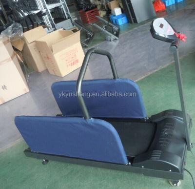 China Sustainable Small Dog Treadmill Sporting Goods Pets Treadmills for sale