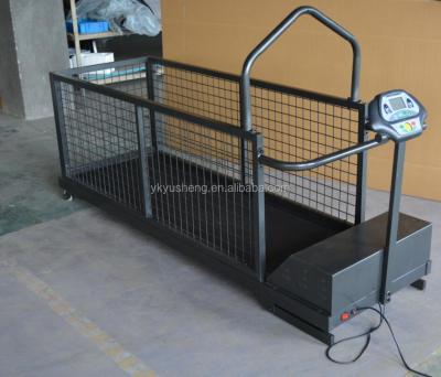 China Sustainable Retail - Hot Slope Dog Treadmill CE Selling 20 km/h for sale