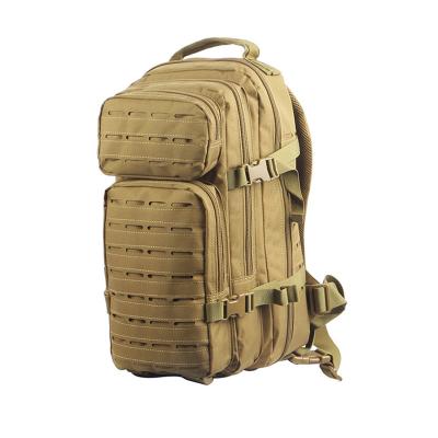 China Molle Waterproof Backpack Camouflage School Bag System Military Tactical Rucksack for sale