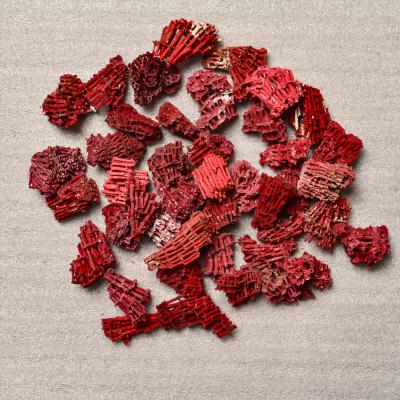 China Natural Raw Uncut Crystals Gemstone China Wholesalers Cora Red Bulk High Quality Crystal Stone cuarzos for sale