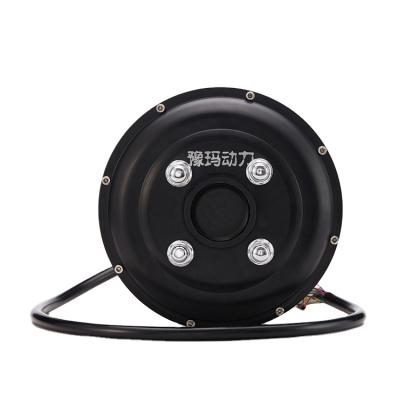 China Waterproof 10 Inch 2000W High Efficiency Brushless Electric Car In Wheel Hub Motor for sale