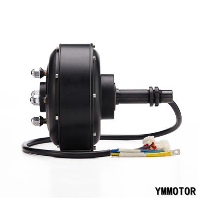 China 10Inch 1500w Waterproof Single Axle Hub Motor Electric Car Hub Motor For Four Wheel Drive for sale