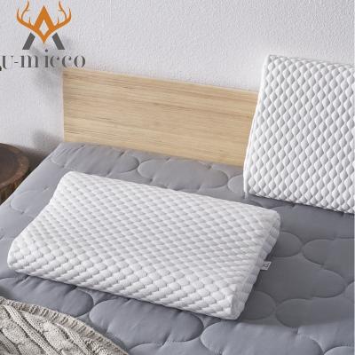 China High Durable Standard Anti Bacterial Pillow Hypoallergenic FDA for sale