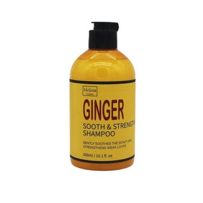 China Hot Selling Color-protecting Best Quality 300ml Custom Soothe Strengthen Ginger Shampoo For All Types for sale