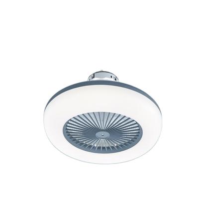 China Indoor Ceiling Fans Modern New Arrival Different Colors 220 Volts With Lights for sale