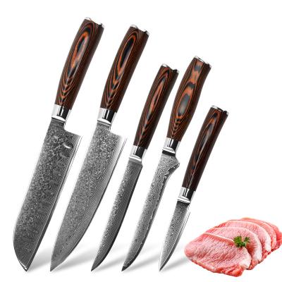 China 5pcs Viable High Quality Wooden Handle Damascus Steel Blade Pakka Peeling Santoku Boning Chef Knife Set for sale