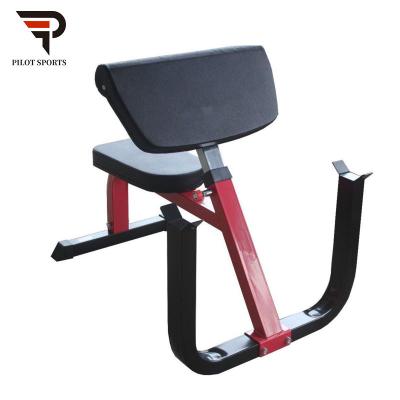 China Modern Heavy Duty Preacher Loop Bench for sale