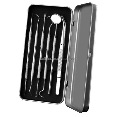 China Dental Care Stainless Steel Dentist Tools Hygiene Cleaning Tooth Pick Kit for sale