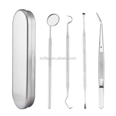 China Dental Care Professional Tooth Tools Hygiene Care Tool Kit Set Stainless Steel Dental Tool for sale