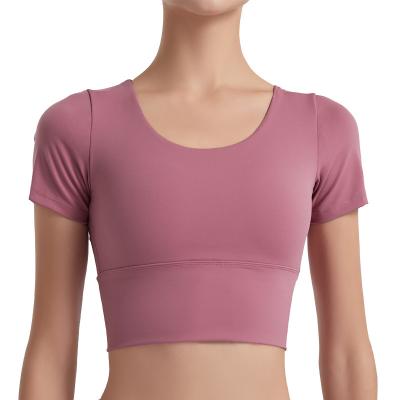 China Breathable 2022 Hot Sale Ladies Active Wear Beautiful Pink High Quality Slim Fit Gym Women Fitness T-Shirt for sale