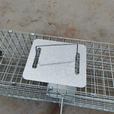 China Disposable field and farm rat trap cage factory direct sale for sale