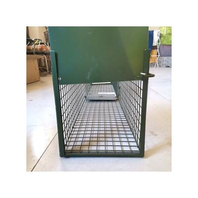 China Live Animal Cage Trap Rabbit High Quality Viable Cat Cage Trap for sale