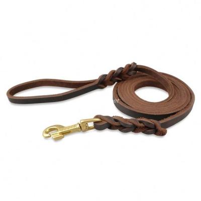 China New Arrival Swivel Hook Dog Leash and Bow Dog Leash Padded Instant Coil Spring for sale