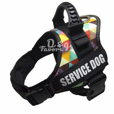 China Padded Adjustable Premium Outdoor Dog Harness With Reflective Hardware for sale