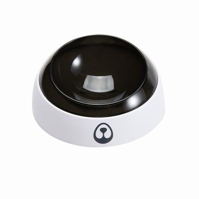 China Sustainable Popular Round Shape Dog Feeders Cat Useful Pets Food Feeder Explosive Bowl And Waterer for sale