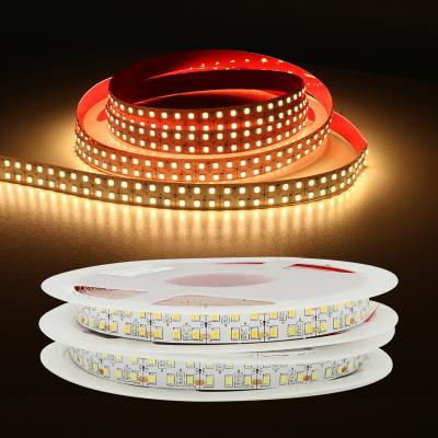 China High Quality DC12V 24V 60 Sports Stadiums 120 180 240 Leds/m 2835 LED Chip IP20 IP65 IP67 Waterproof Flexible White Strip Light for sale