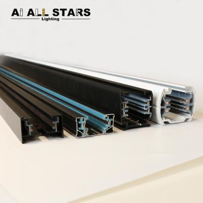 China Factory Wholesale Modern LED Lighting Track Light Wire Circuit 2/3/4 Wire Rail 1/3 Aluminum Tracks Accessories 2/3/4 Light for sale