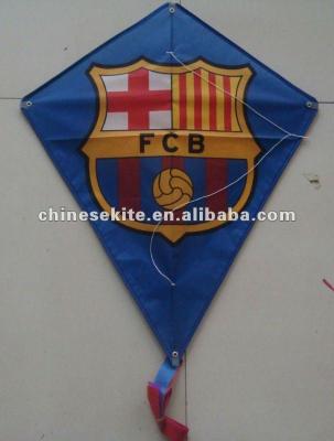 China Promotional Polyester Kite for sale