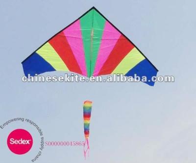 China Polyester delta kite for kid for sale