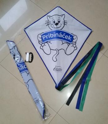 China Promotional Polyester Diamond Kites for Advertising for sale