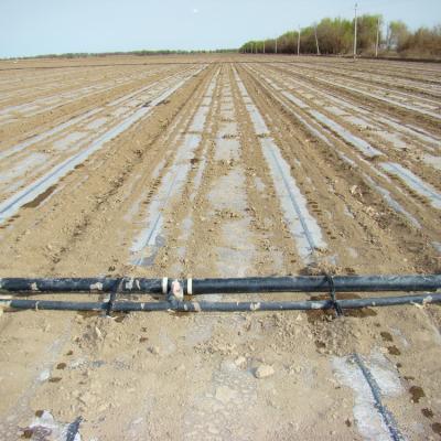 China Agriculture irrigation polyethylene high quality pe layflat soft pipe for agriculture farming for sale