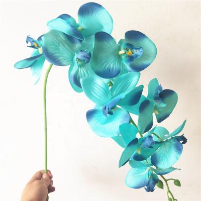 China Real Touch Fabric Orchid Artificial Flower Phalaenopsis Flowers White Latex 9 Heads for sale