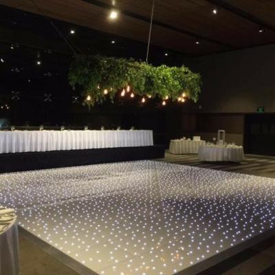 China Theme Park Wedding Led Dance Floor for sale