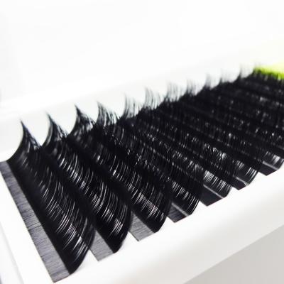 China Ellipse Matte Flat Lash Individual Eyelash Natural Extension for sale