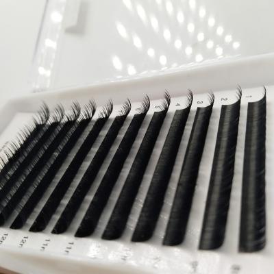 China Natural Soft Buy Directly From China Manufacturer 0.12/0.15/0.20mm Eyelash Extension Supplies Private Label for sale