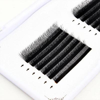 China Lash Extension Professional Natural W Perfect Individual W Lash Lash W Volume Good Quality for sale